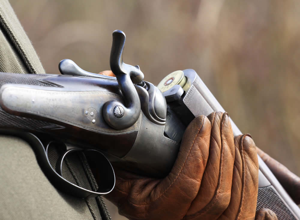 Shotgun detail